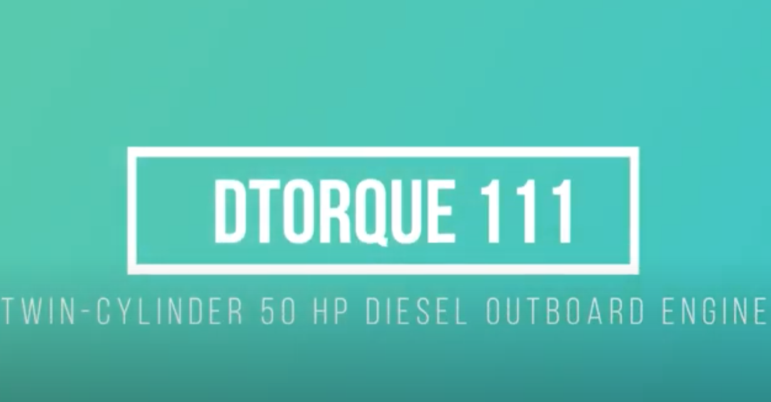 Test Drive Dtorque 111